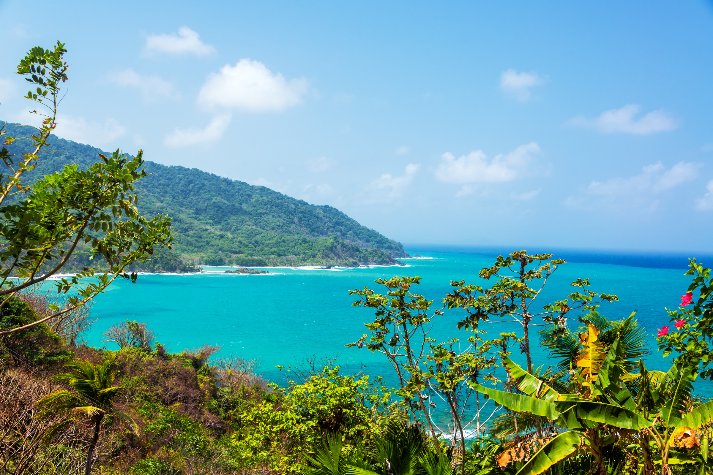 playa muerto, darién national park __panama.webp